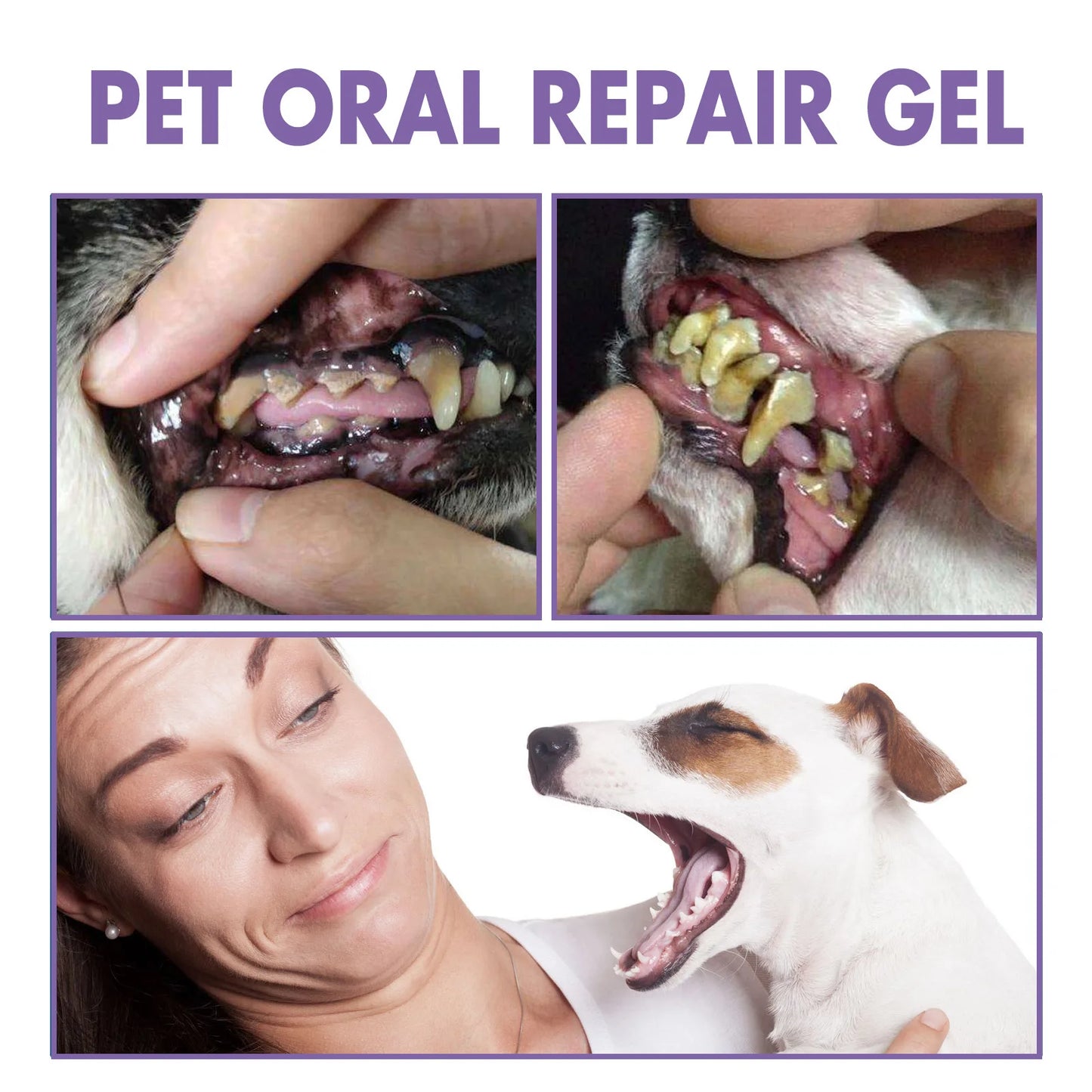 Petnip - Oral Pet Gel