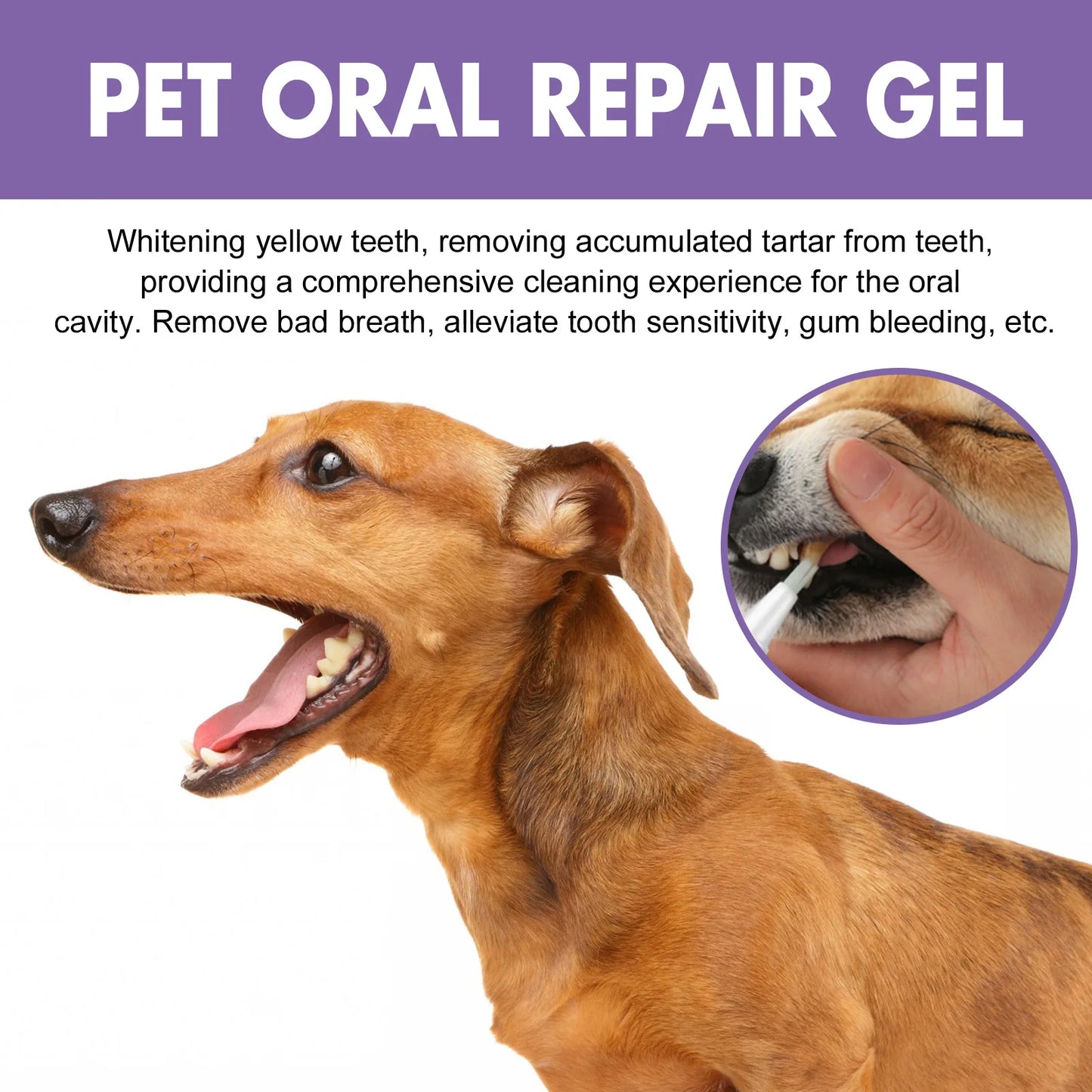 Petnip - Oral Pet Gel
