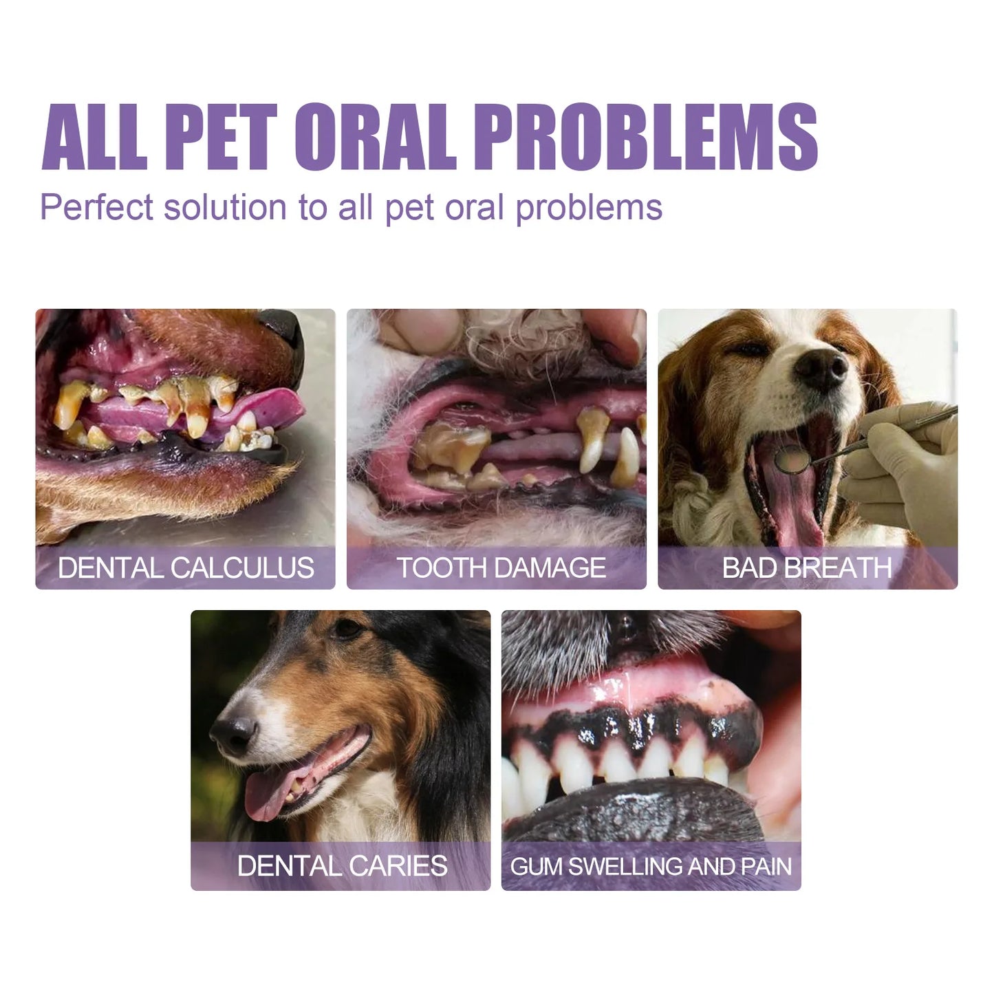 Petnip - Oral Pet Gel
